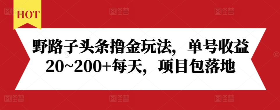 野路子头条撸金玩法，单号收益20~200+每天，项目包落地-宝藏屋创业网