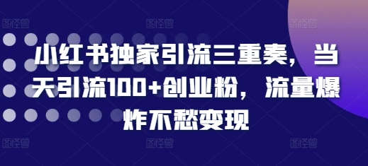 小红书独家引流三重奏,当天引流100+创业粉,流量爆炸不愁变现【揭秘】-宝藏屋创业网