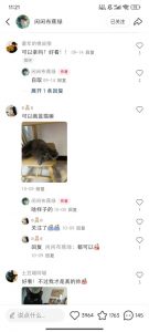 小红书私人定制图项目,附赠一单4W渠道【揭秘】-宝藏屋创业网