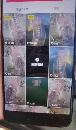 外面卖399的国学佛像原创暴力起号技术,快速起号,7天可达到一个万粉号-宝藏屋创业网