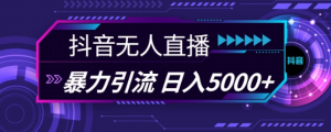 抖音快手视频号全平台通用无人直播引流法,利用图片模板和语音话术,暴力日引流100+创业粉【揭秘】-宝藏屋创业网