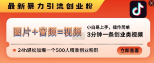 抖音最新暴力引流创业粉,3分钟一条创业类视频,24h轻松加爆一个500人精准创业粉群【揭秘】-宝藏屋创业网