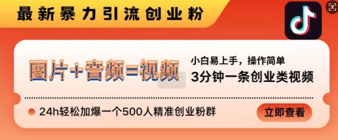 抖音最新暴力引流创业粉，3分钟一条创业类视频，24h轻松加爆一个500人精准创业粉群【揭秘】-宝藏屋创业网