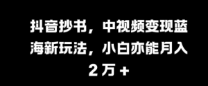 抖音抄书,中视频变现蓝海新玩法,小白亦能月入 过W【揭秘】-宝藏屋创业网