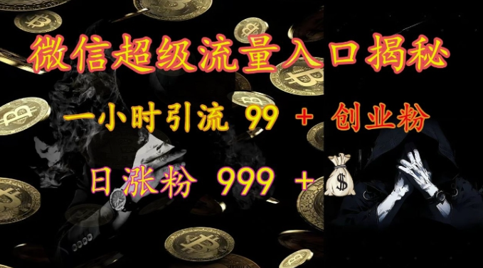微信超级流量入口揭秘：一小时引流 99 + 创业粉，日涨粉 999 +-宝藏屋创业网