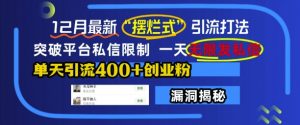 12月最新“摆烂式”引流打法,突破平台私信限制,一天无限发私信,单天引流400+创业粉-宝藏屋创业网