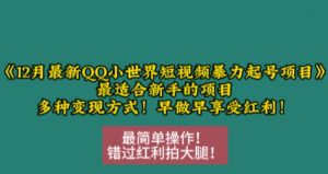 12月最新QQ小世界短视频暴力起号项目,最适合新手的项目,多种变现方式-宝藏屋创业网