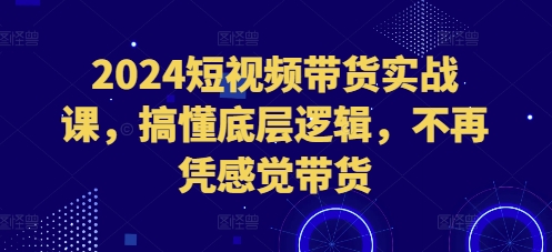 2024短视频带货实战课，搞懂底层逻辑，不再凭感觉带货-宝藏屋创业网