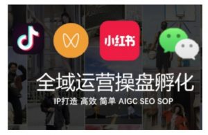 全域运营操盘(抖音+私域+小红书),IP打造高效简单-宝藏屋创业网