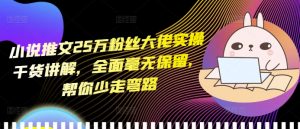 小说推文25万粉丝大佬实操干货讲解,全面毫无保留,帮你少走弯路-宝藏屋创业网