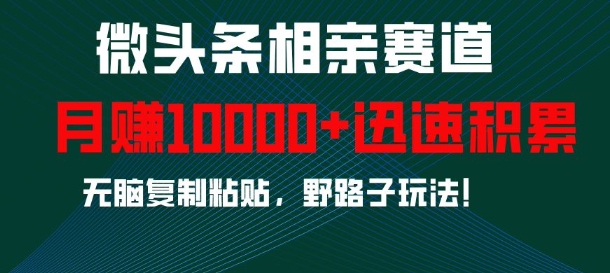 微头条相亲赛道，迅速积累，无脑复制粘贴，野路子玩法，月入1w-宝藏屋创业网