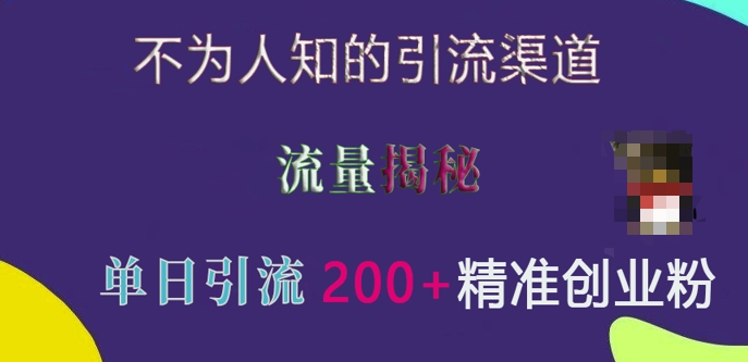 不为人知的引流渠道，流量揭秘，实测单日引流200+精准创业粉【揭秘】-宝藏屋创业网