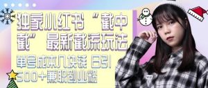 最新小红书截流玩法 独家截中截 单号成本几块钱 日引500+CY粉JZ粉-宝藏屋创业网