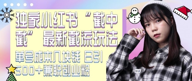 最新小红书截流玩法 独家截中截 单号成本几块钱 日引500+CY粉JZ粉-宝藏屋创业网