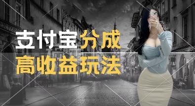 支付宝分成计划新玩法，利用交通事故视频，赚收益，轻松月入过W，操作简单【揭秘】-宝藏屋创业网