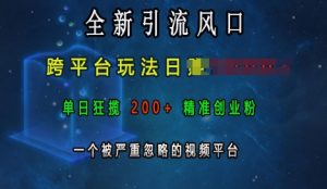 全新引流风口,跨平台玩法日入上k,单日狂揽200+精准创业粉,一个被严重忽略的视频平台-宝藏屋创业网