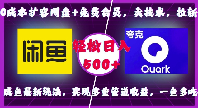 0成本扩容网盘+免费会员，卖技术，拉新，咸鱼最新玩法，实现多重管道收益，一鱼多吃，轻松日入500+-宝藏屋创业网