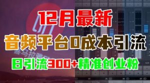 12月最新:音频平台0成本引流,日引流300+精准创业粉-宝藏屋创业网