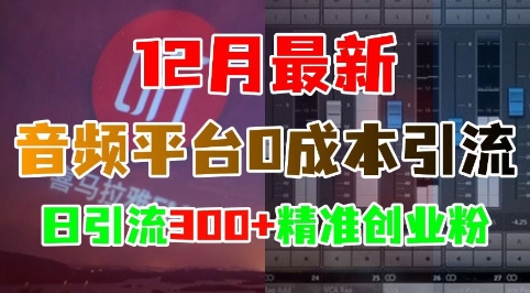 12月最新：音频平台0成本引流，日引流300+精准创业粉-宝藏屋创业网