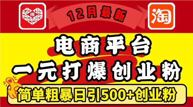 12月最新:电商平台1元打爆创业粉,简单粗暴日引500+精准创业粉,轻松月入过W【揭秘】-宝藏屋创业网