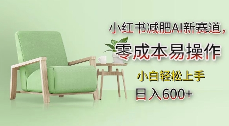小红书减肥AI新赛道，零成本易操作，日入多张，小白轻松上手【揭秘】-宝藏屋创业网