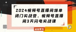 2024视频号直播间爆单闭门实战营,视频号直播间3天闪电实战课-宝藏屋创业网