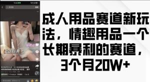 成人用品赛道新玩法,情趣用品一个长期暴利的赛道,3个月收益20个【揭秘】-宝藏屋创业网