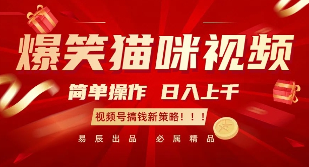 爆笑猫咪视频：简单操作，日入过K，视频号搞钱新策略【揭秘】-宝藏屋创业网
