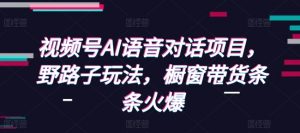 视频号AI语音对话项目,野路子玩法,橱窗带货条条火爆-宝藏屋创业网