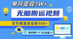 无脑搬运视频号可批量复制,新手即可操作,日引精准创业粉300+,月变现过W 【揭秘】-宝藏屋创业网