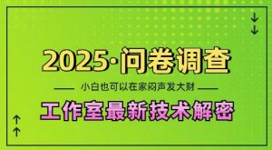 2025问卷调查最新工作室技术解密:一个人在家也可以闷声发大财,小白一天2张,可矩阵放大【揭秘】-宝藏屋创业网