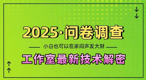 2025问卷调查最新工作室技术解密：一个人在家也可以闷声发大财，小白一天2张，可矩阵放大【揭秘】-宝藏屋创业网