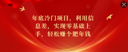 年底冷门项目，利用信息差，实现零基础上手，轻松赚个肥年钱【揭秘】-宝藏屋创业网