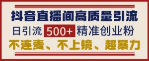 抖音直播间引流创业粉,无需连麦、不用上镜、超暴力,日引流500+高质量精准创业粉-宝藏屋创业网