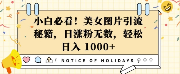 小白必看，美女图片引流秘籍，日涨粉无数，轻松日入几张【揭秘】-宝藏屋创业网