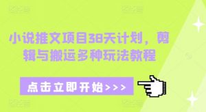 小说推文项目38天计划，剪辑与搬运多种玩法教程-宝藏屋创业网