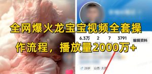 全网爆火龙宝宝视频全套操作流程,播放量2000万+-宝藏屋创业网