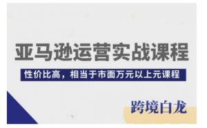 亚马逊运营实战课程,亚马逊从入门到精通,性价比高,相当于市面万元以上元课程-宝藏屋创业网
