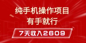 纯手机操作的小项目,有手就能做,7天收入2609+实操教程【揭秘】-宝藏屋创业网