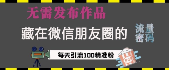 藏在微信朋友圈的流量密码，无需发布作品，单日引流100+精准创业粉【揭秘】-宝藏屋创业网