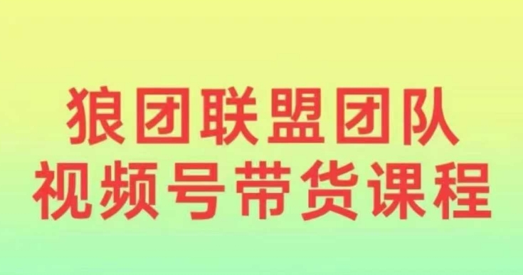 狼团联盟2024视频号带货,0基础小白快速入局视频号-宝藏屋创业网