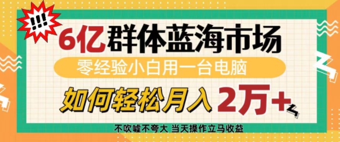 6亿群体蓝海市场，零经验小白用一台电脑，如何轻松月入过w【揭秘】-宝藏屋创业网