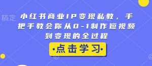 小红书商业IP变现私教,手把手教会你从0-1制作短视频到变现的全过程-宝藏屋创业网