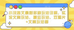 小说推文最新多种玩法详解,实况文案玩法,搬运玩法,双图片+文案玩法等-宝藏屋创业网