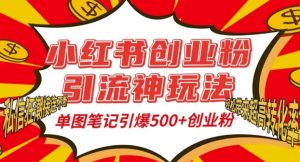 小红书创业粉引流神玩法,单图笔记引爆500+精准创业粉丝,私信狂潮接连不断-宝藏屋创业网