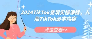 2024TikTok变现实操课程,入局TikTok必学内容-宝藏屋创业网