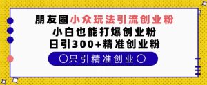 朋友圈小众玩法引流创业粉,小白也能打爆创业粉,日引300+精准创业粉【揭秘】-宝藏屋创业网