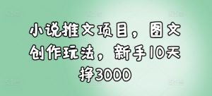 小说推文项目,图文创作玩法,新手10天挣3000-宝藏屋创业网