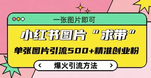 小红书图片‘求带’爆火引流法，单张图片引流500+精准创业粉【揭秘】-宝藏屋创业网