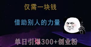 仅需一块钱,借助别人的力量,单日引爆300+创业粉、兼职粉【揭秘】-宝藏屋创业网